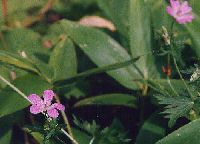 asamafuuro827_thumb.jpg (8074 �o�C�g)