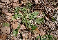 matsumushi90502_thumb.jpg (15690 �o�C�g)