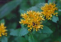 unknown17_thumb.jpg (6365 �o�C�g)