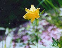 yusuge10_thumb.jpg (8970 �o�C�g)