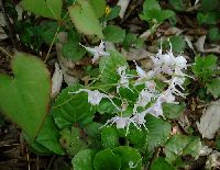 ikarisou90521(1)_thumb.jpg (11983 �o�C�g)