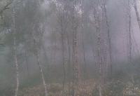 fushigurosennou_thumb.jpg (8014 �o�C�g)