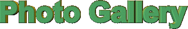 gallery_logo.gif (10093 バイト)