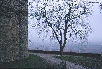 residenz9808_thumb.jpg (11105 �o�C�g)
